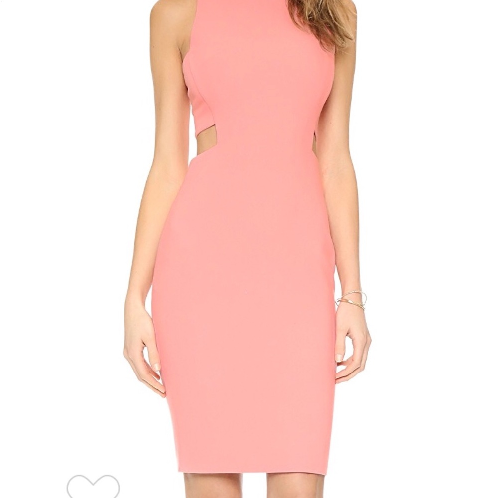 NWT Elizabeth and James cut out dress